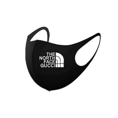 マスク 2枚入 the north face