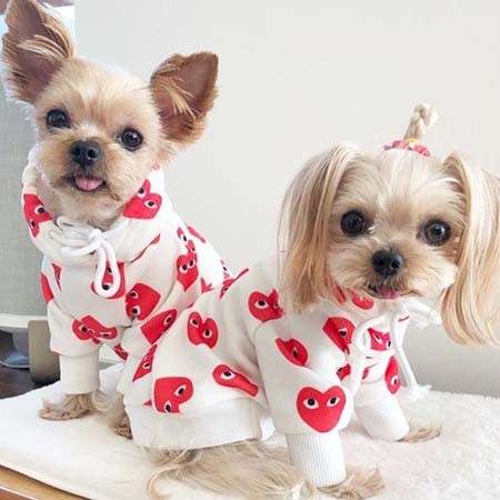 Comme des Garçonsテディ