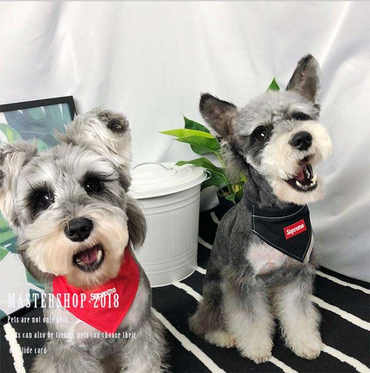 中小型犬 オシャレ 売れ筋 送料無料 四季通用 ハイブランド ファッションブランド Supreme 犬用品 綿 ロゴ付き Supreme 欧米風