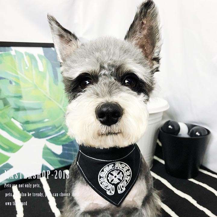 欧米風 ハイブランド 激安通販 ブラック オシャレ ロゴ付き 送料無料 中小型犬 犬アクセサリー ファッションブランド 流行り Chrome Hearts犬用品 綺麗 コットン Chromehearts 欧米風 ハイブランド 激安通販 ブラック オシャレ ロゴ付き 送料無料 中小型犬 犬アクセサリー ファッションブランド 流行り Chrome Hearts犬用品 綺麗 コットン Chromehearts