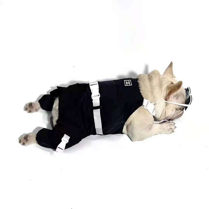 chanel 犬洋服