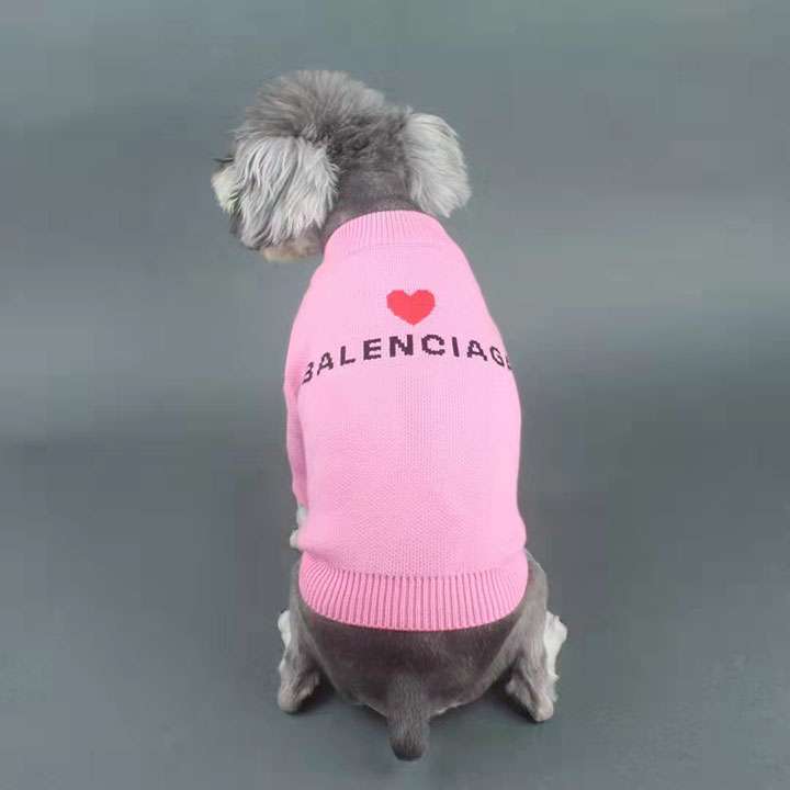 balenciaga猫と犬 セーター